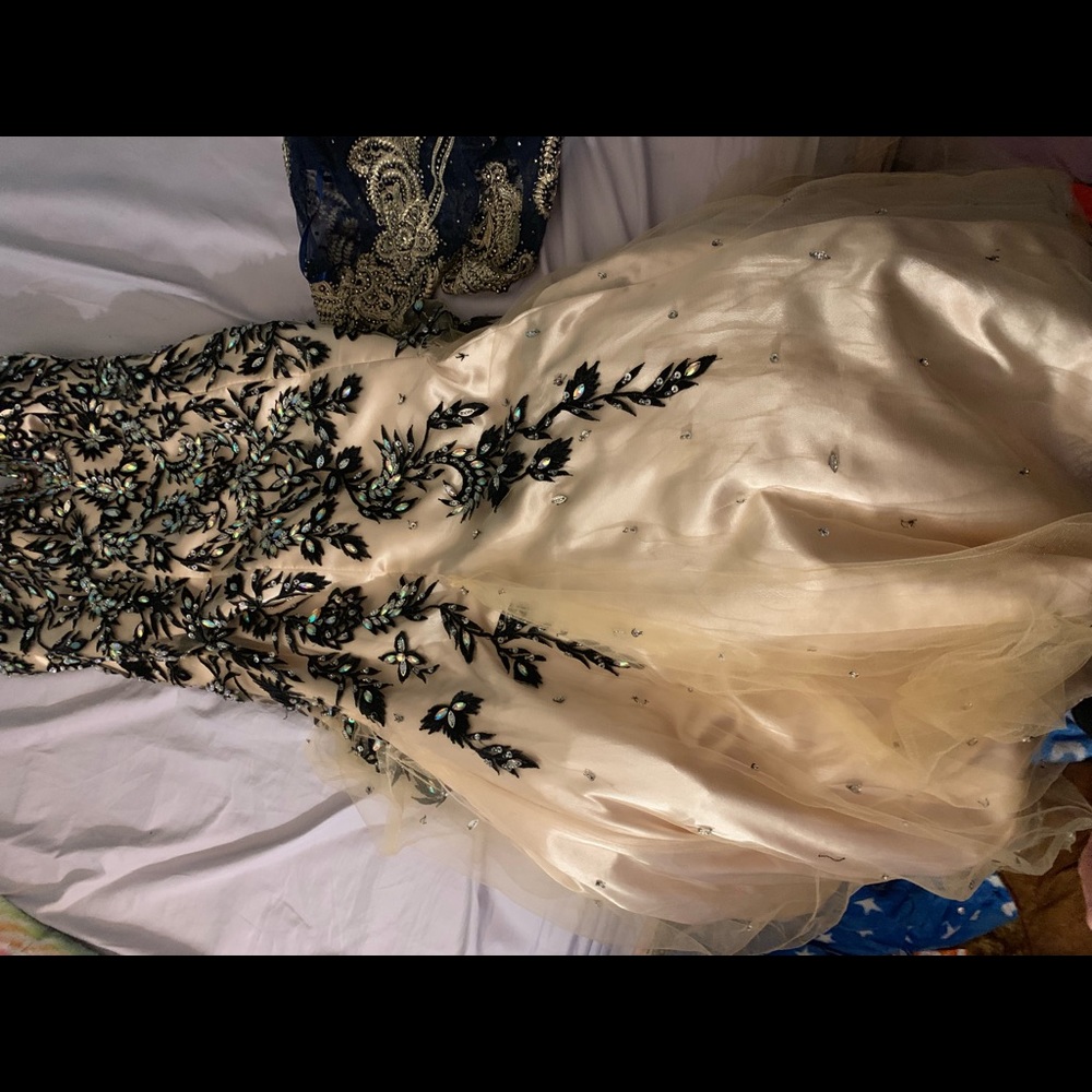 11-12 tony bowls